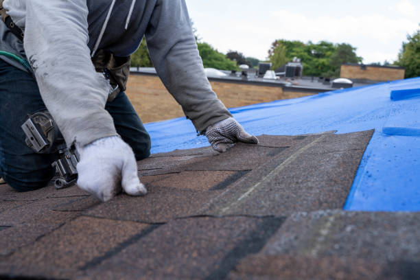 Best Emergency Roof Repair  in Toluca, IL