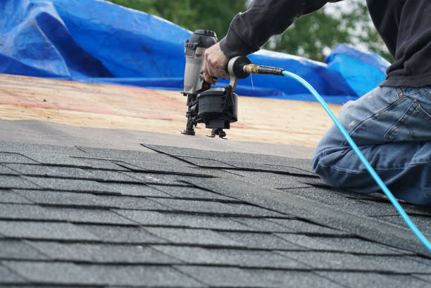 Best Roof Gutter Cleaning  in Toluca, IL