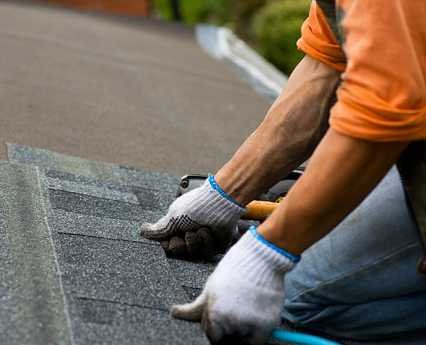 Quick and Trustworthy Emergency Roof Repair Services in Toluca, IL