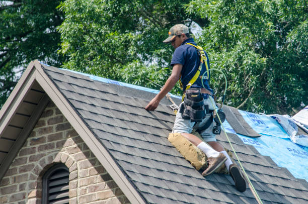 Best Residential Roofing Contractor  in Toluca, IL